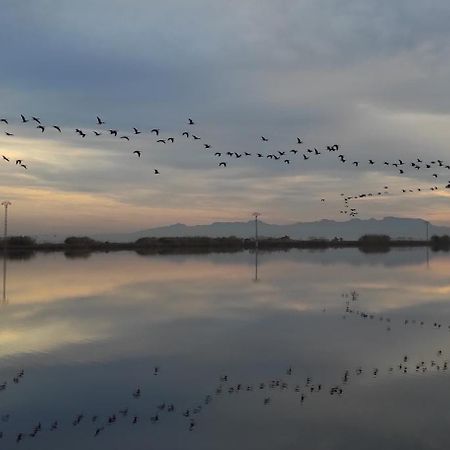 Mi Pequena Terraza Daire Alaquàs Dış mekan fotoğraf