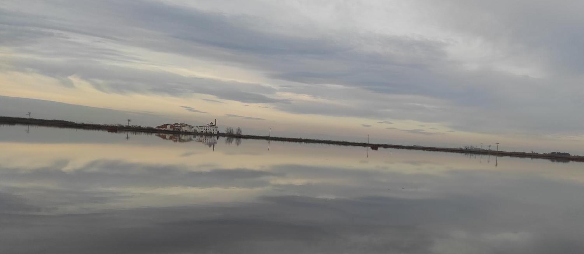 Mi Pequena Terraza Daire Alaquàs Dış mekan fotoğraf